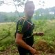 onze-trainingslocaties - 180601 UHTT Social Trail Jordi 80x80 - Prachtige looptraining op 'Fieldcrossing' bij Driebergen - Utrechtse Heuvelrug, trainen, Nederland, Hardlopen, 2018